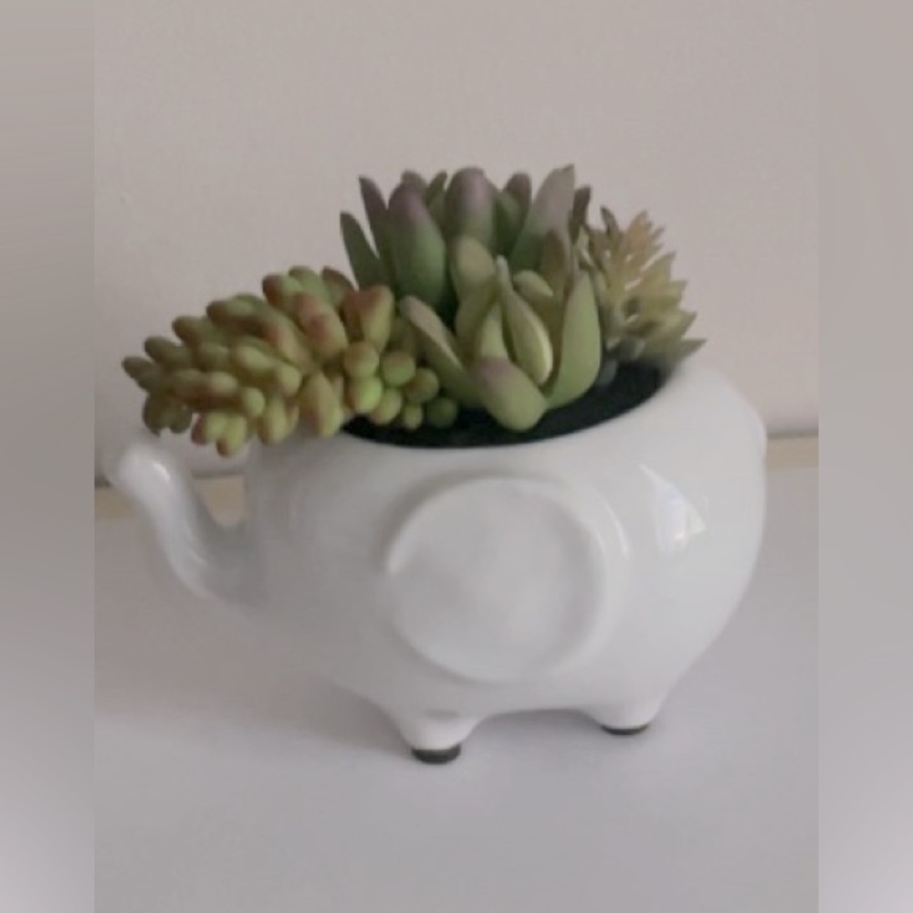 Small White Ceramic Elephant Planter With Faux Succulents Decor modern cute desk